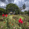 patrimonios-turisticos---v2/hacienda-el-paraiso---el-cerrito